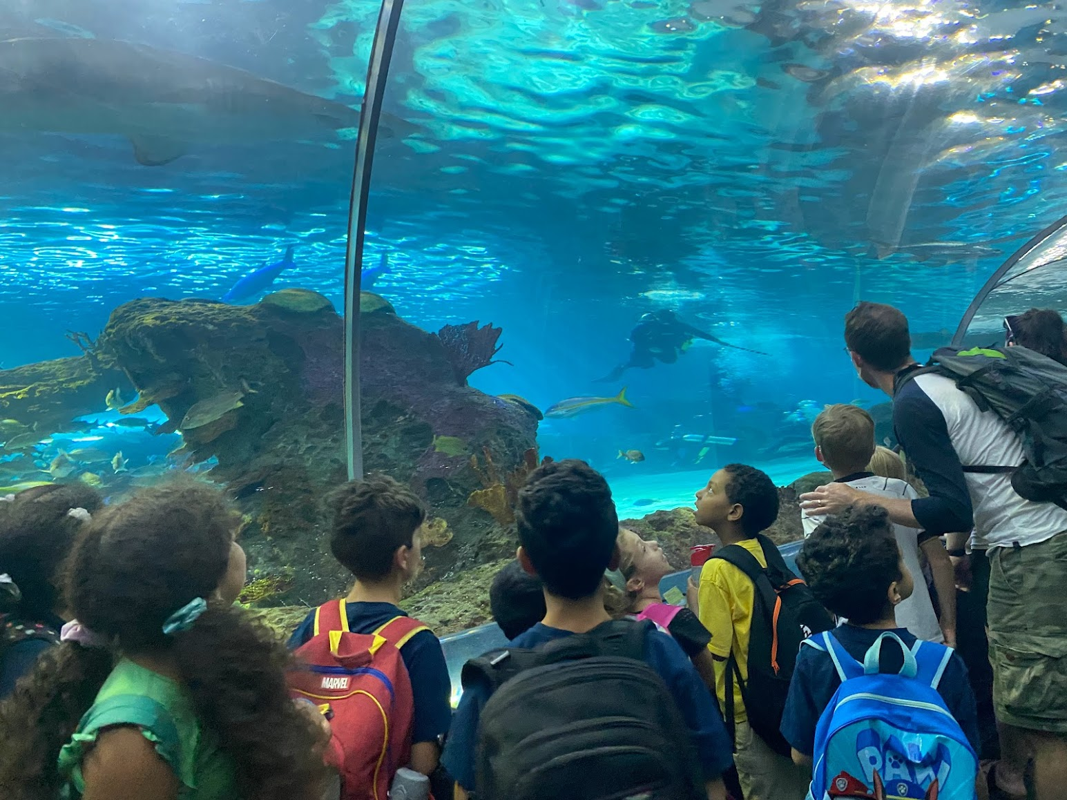 Children in an aquarium